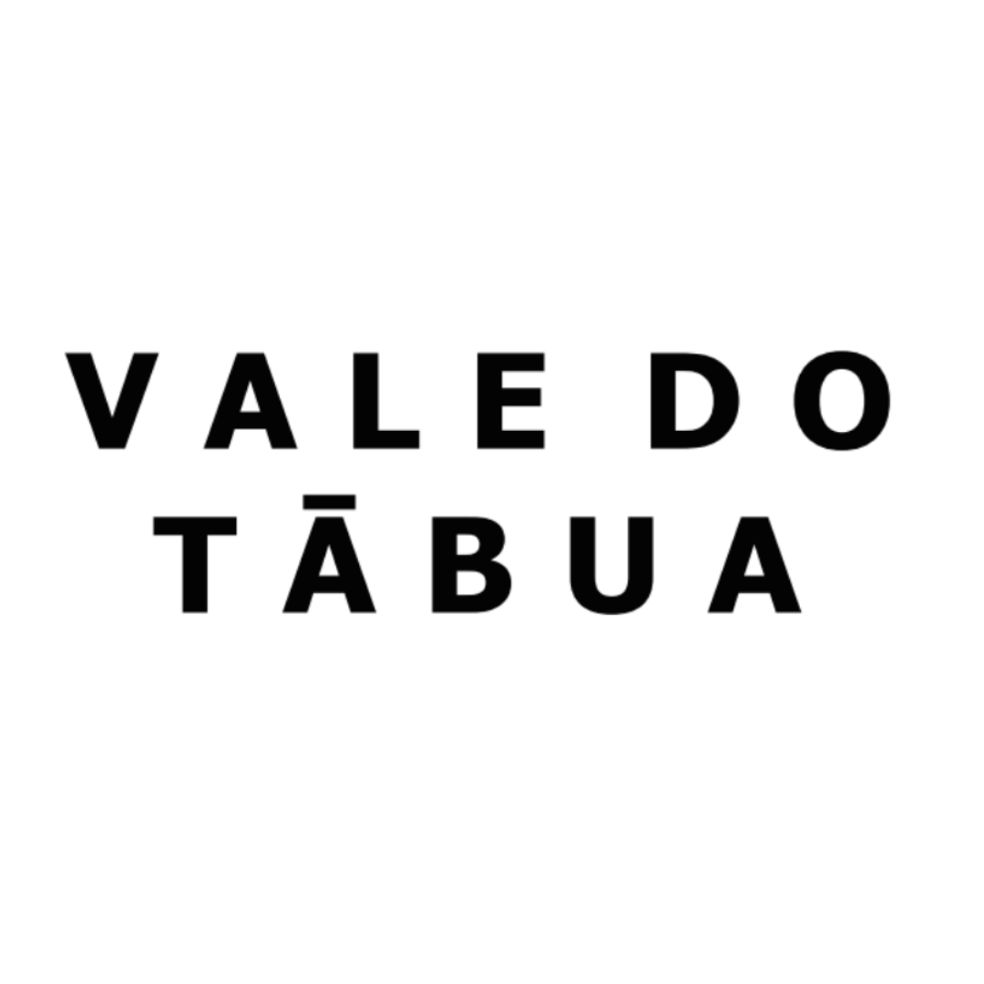 Vale do Tábua Logo