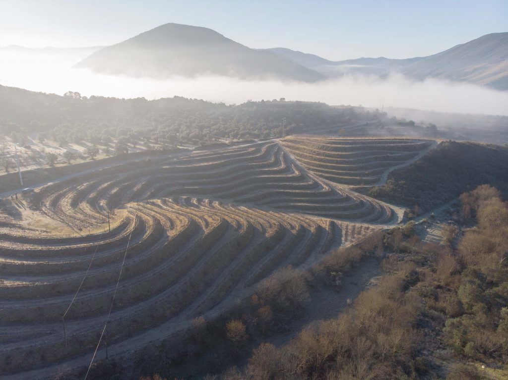 Quinta de Lubazim e Lupucinus